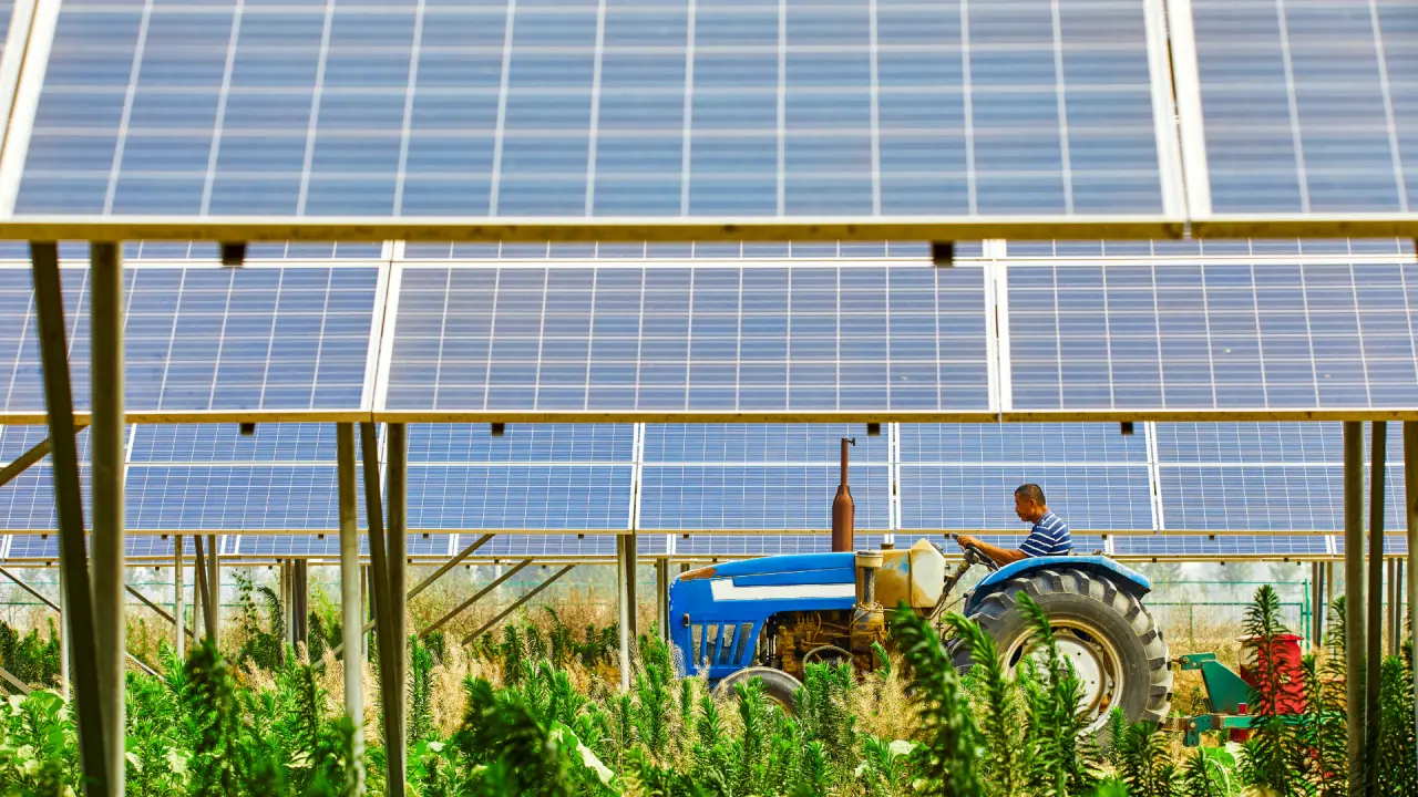 Agri-photovoltaic system on agricultural land.