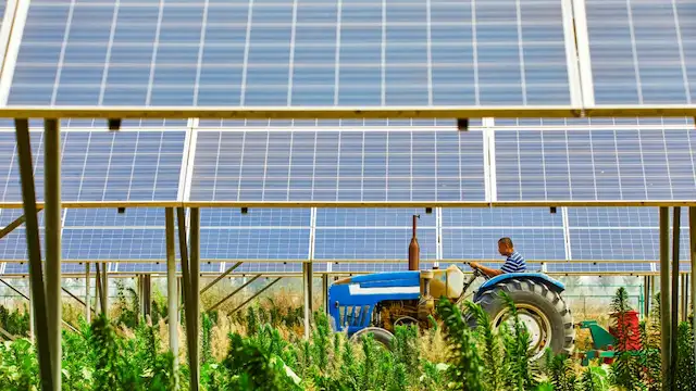 Agri-Photovoltaics: Farming and Energy | ENLAPA