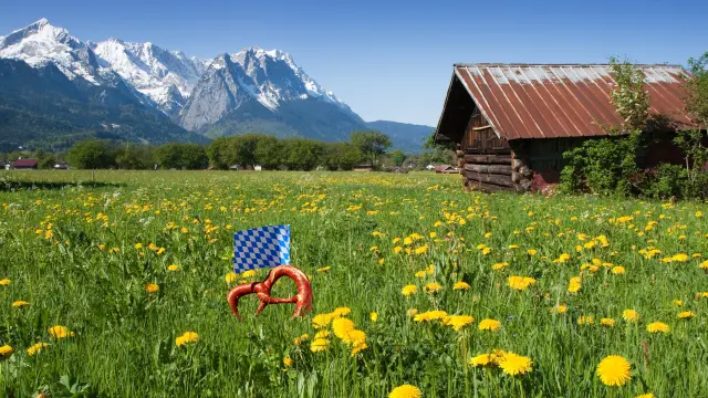 Ground-Mounted Photovoltaics in Bavaria 2026: Lease, Land, Process | ENLAPA